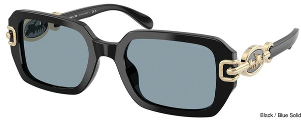 Coach Replacement Lenses 111184
