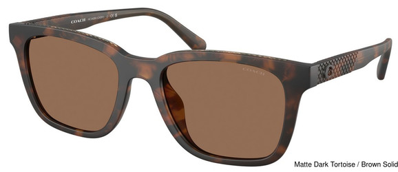 Coach Replacement Lenses 111188