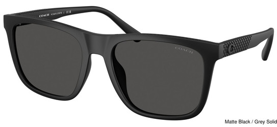 Coach Sunglasses HC8427U 500287