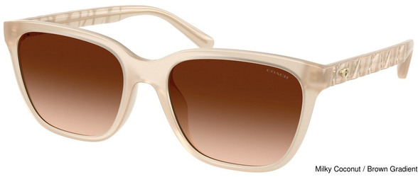 Coach Replacement Lenses 111199