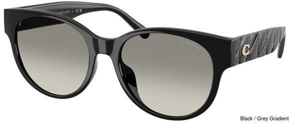 Coach Replacement Lenses 111204