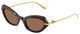 Havana / Dark Brown