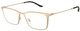 Matte Brushed Pale Gold / Clear