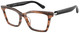 Shiny Striped Brown / Clear