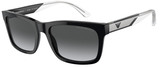 Emporio Armani Sunglasses EA4224F 5017T3