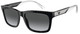 Shiny Black / Dark Grey Polar