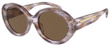 Emporio Armani Sunglasses EA4231U 615673