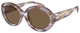 Striped Brown / Dark Brown