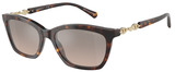 Emporio Armani Sunglasses EA4238 50266I