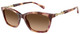 Shiny Havana Red / Gradient Brown