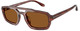 Shiny Havana Brown / Dark Brown