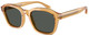 Shiny Transp Yellow / Dark Grey