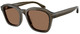 Shiny Transp Grey / Dark Brown