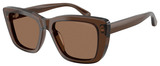 Emporio Armani Sunglasses EA4246U 625173