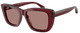 Shiny Transp Bordeaux / Light Brown