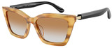 Emporio Armani Sunglasses EA4250U 62692Q