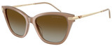 Emporio Armani Sunglasses EA4251 6263T5