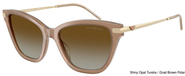 Emporio Armani Sunglasses EA4251 6263T5