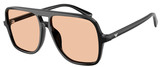 Emporio Armani Sunglasses EA4252U 501793