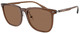 Shiny Transp Brown / Dark Brown
