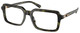 Olive Tortoise / Clear