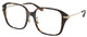 Dark Tortoise / Clear