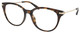 Dark Tortoise / Clear