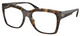 Dark Tortoise / Clear
