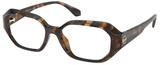 Dark Tortoise / Clear