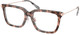 Pink Tortoise / Clear