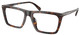 Dark Tortoise / Clear