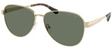 Michael Kors Sunglasses MK1160 Biarritz 10143H