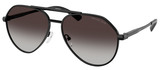 Michael Kors Sunglasses MK1168 Brentwood 10058G