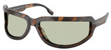 Michael Kors Sunglasses MK2226 Zion 3006/2