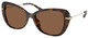 Dark Tortoise / Dark Brown Solid