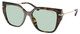 Dk Tortoise / Green Solid Photo