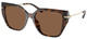 Dark Tortoise / Dark Brown Solid