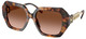 Jet Set Tortoise / Brown Gradient