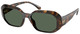 Dark Tortoise / Green Solid