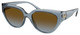 Denim Transp / Brown Blue Gradient