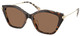 Dark / Cream Tortoise / Brown Solid
