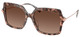 Pink Tortoise / Brown Gradient Polar