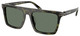 Olive Tortoise / Green Solid