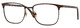 Brown / Clear