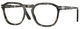 Brown Tortoise / Clear