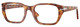 Brown Tortoise / Clear