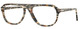 Amber Brown / Pirate Black / Clear