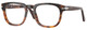 Tortoise Dark Brown / Clear