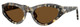 Brown Tortoise / Brown Polar