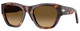 Havana / Brown Grad Brown - Polar